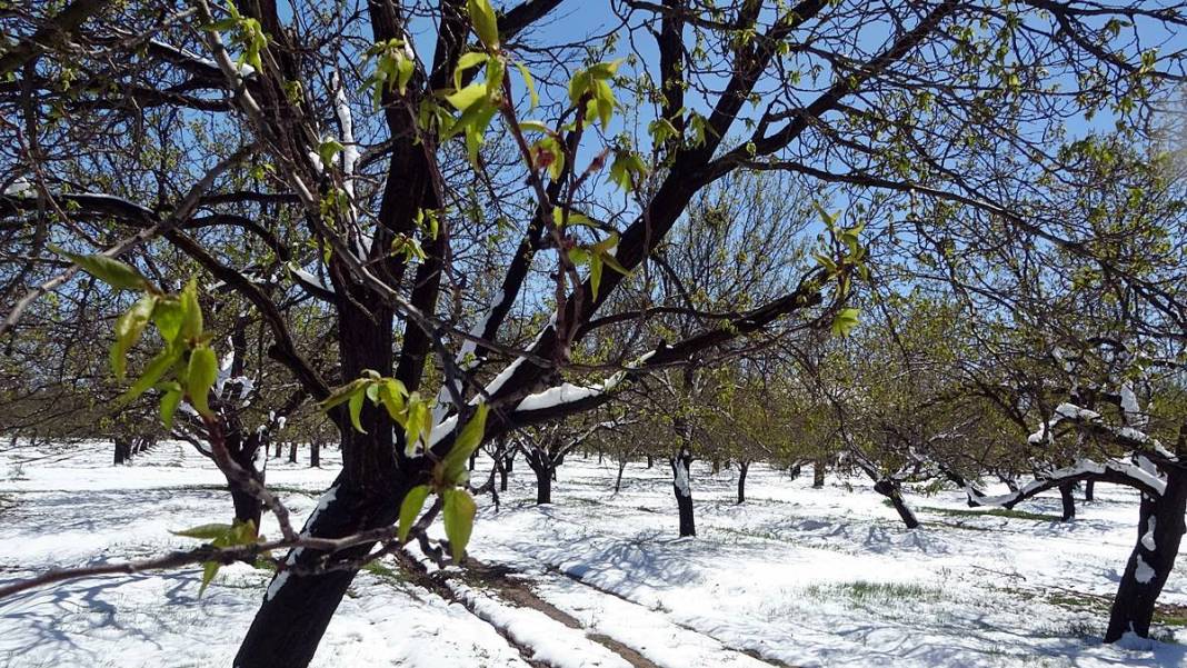 Tarımda tarihin en büyük felaketi yaşanıyor! Meyve, sebze fiyatlarında rekor artış yaşanacak 27
